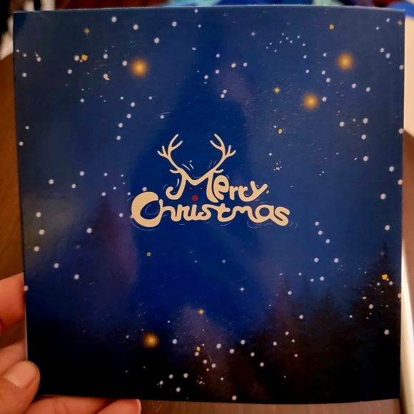 Santa Clause Delivering Gifts Via Ski Card [2 Available] - Picture 7 of 7